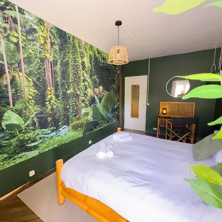 Jungle Urbain- Sauna - Cine - Hamac - Hyper Centre Apartman *
