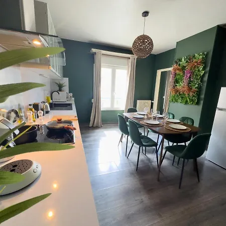 Jungle Urbain- Sauna - Cine - Hamac - Hyper Centre Appartement *